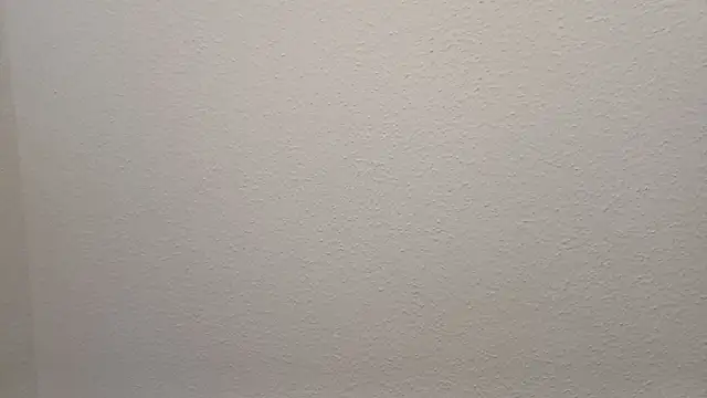 Bigass skir online show from December 2024 07:21:01 PM