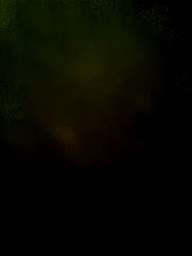 JAWHARA  online show from December 2025 08:12:02 AM