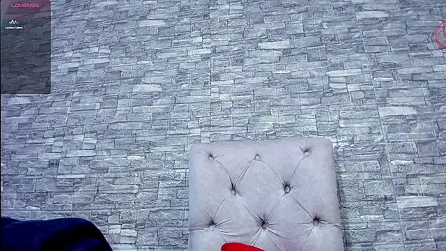 La indiia online show from December 2024 06:10:01 PM