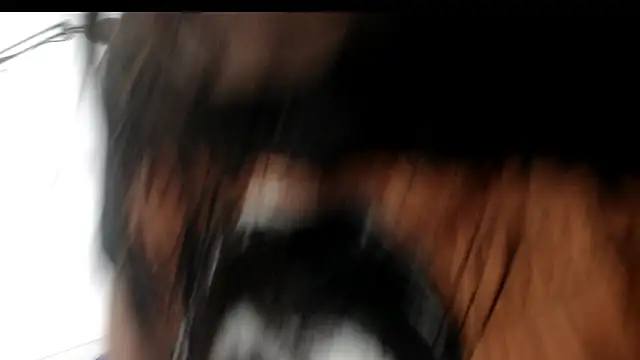 Snapshot of evaleribigtits18 chatting on November 2025 07:13:01 PM evaleribigtits18 online show from November 2025 07:13:01 PM