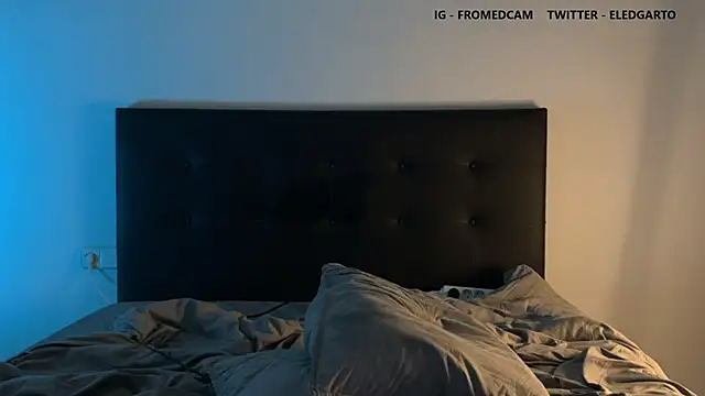 Snapshot of fromed chatting on January 2025 12:17:01 AM fromed online show from January 2025 12:17:01 AM