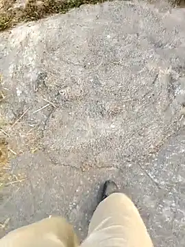 Snapshot of Ishan003 chatting on February 2026 01:32:01 AM Ishan003 online show from February 2026 01:32:01 AM