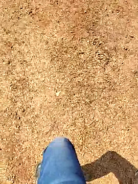 Snapshot of Ishan003 chatting on February 2026 05:22:02 AM Ishan003 online show from February 2026 05:22:02 AM