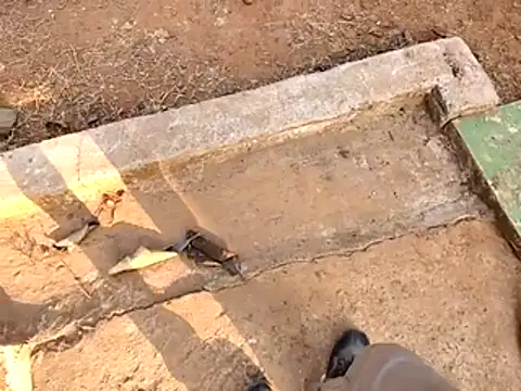 Snapshot of Ishan003 chatting on February 2026 10:36:01 AM Ishan003 online show from February 2026 10:36:01 AM