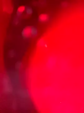 Cobra500hp online show from March 2026 07:19:02 AM