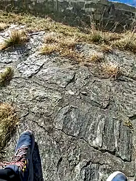 tony7567 online show from November 2025 12:51:01 PM