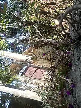 AssamSilchar93 online show from February 2026 06:17:02 AM