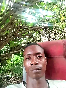 BeetledFlouter12 online show from November 2025 09:37:02 PM