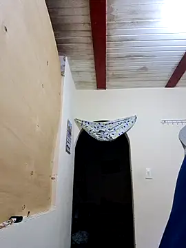 Zaralu  online show from November 2025 12:17:01 PM