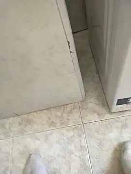 user 662 online show from February 2026 11:43:02 AM