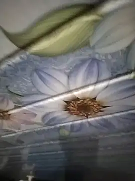 Snapshot of kunalmishra2003 chatting on November 2025 11:48:02 PM kunalmishra2003 online show from November 2025 11:48:02 PM