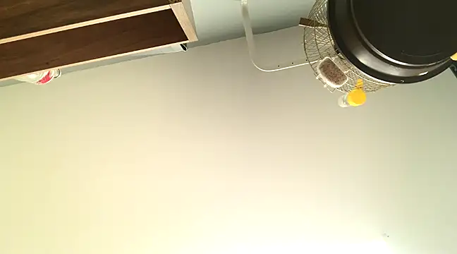 themany29 online show from January 2025 08:17:02 PM