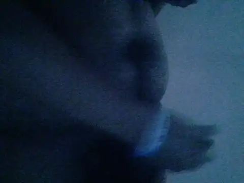 mateomalp675 90 online show from April 2026 03:28:02 PM