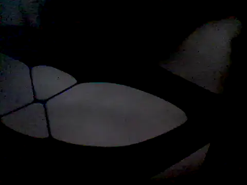 luniaitaliax3 online show from January 2025 12:13:02 AM