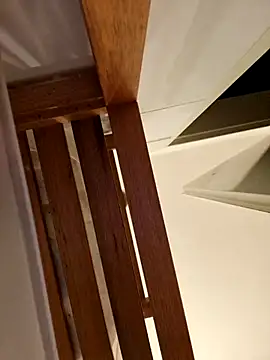 Snapshot of Josephine_LIVE chatting on November 2025 05:21:02 AM Josephine LIVE online show from November 2025 05:21:02 AM