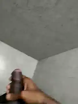 biggest lund  online show from December 2024 03:03:02 AM