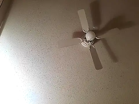 Snapshot of big8dall chatting on October 2025 07:52:01 AM big8dall online show from October 2025 07:52:01 AM