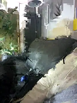 Snapshot of SweetMaddy888 chatting on December 2024 06:31:02 PM SweetMaddy888 online show from December 2024 06:31:02 PM