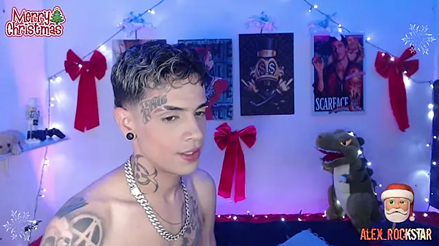 Snapshot of alex_rockstar chatting on December 2024 02:41:02 AM alex rockstar online show from December 2024 02:41:02 AM