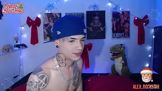Snapshot of alex_rockstar chatting on January 2025 05:17:02 AM alex rockstar online show from January 2025 05:17:02 AM