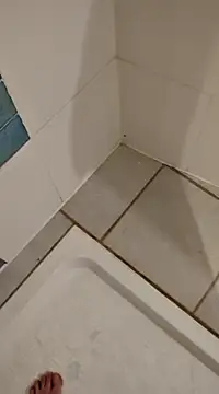 Snapshot of Ariete80s chatting on February 2025 03:32:02 PM Ariete80s online show from February 2025 03:32:02 PM