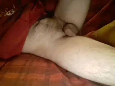 Snapshot of Ariete80s chatting on March 2025 06:16:01 AM Ariete80s online show from March 2025 06:16:01 AM