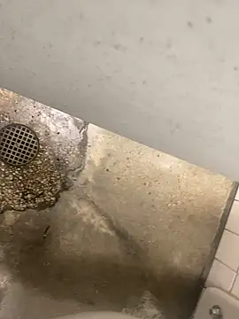 zeekBbc online show from December 2024 08:38:02 PM