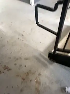 zeekBbc online show from February 2026 09:25:02 PM