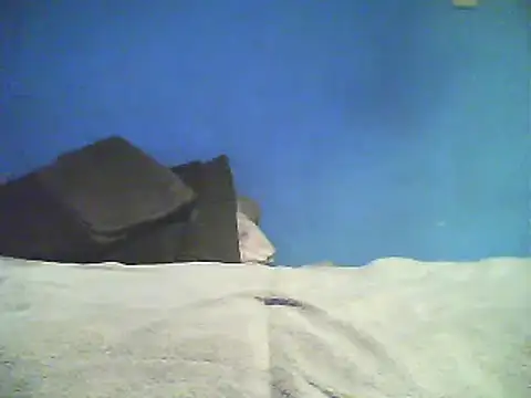 Vago745 online show from December 2024 10:50:01 AM