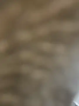 BhadBhad Kitty online show from February 2025 06:45:01 AM