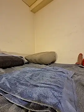 fox--3 online show from February 2026 05:00:02 AM