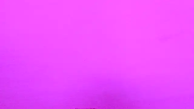 Habibi big b online show from November 2025 11:49:02 AM