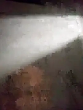 Snapshot of edijavimes chatting on February 2026 04:20:02 AM edijavimes online show from February 2026 04:20:02 AM