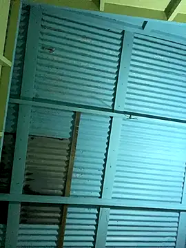 islandvybee55 online show from December 2025 05:01:01 AM