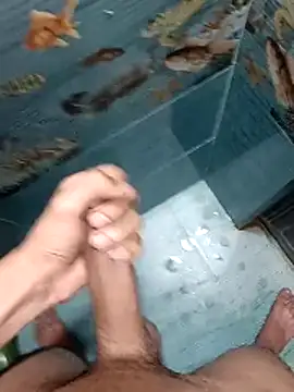 Mr joh online show from February 2026 06:25:01 PM