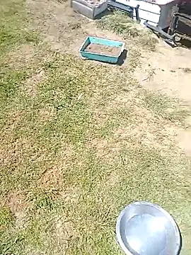 hornyhippies0080 online show from March 2026 09:59:02 AM