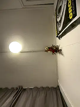 wolfwhite95 online show from November 2025 11:57:02 PM