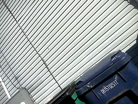 Chico Bellaco online show from October 2025 02:14:02 PM