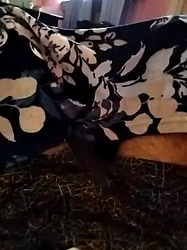 indian   fucker online show from September 2025 10:07:01 AM