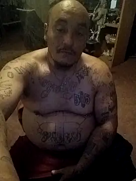 wilsons12 online show from March 2026 08:26:33 AM