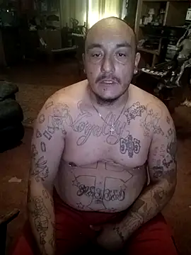 wilsons12 online show from April 2026 03:20:01 PM