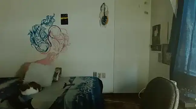 fenixmfx19 online show from December 2024 01:49:02 PM