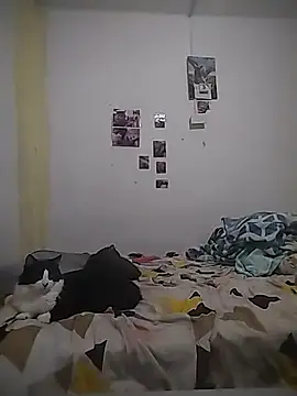 safira hot online show from February 2026 12:40:01 AM