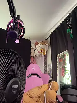 pawmistry online show from March 2025 09:43:02 PM