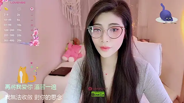 Snapshot of Vaidurya-Yolo chatting on November 2025 01:22:04 PM Vaidurya-Yolo online show from November 2025 01:22:04 PM