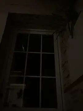 Snapshot of Imperial_10 chatting on December 2024 02:46:01 AM Imperial 10 online show from December 2024 02:46:01 AM