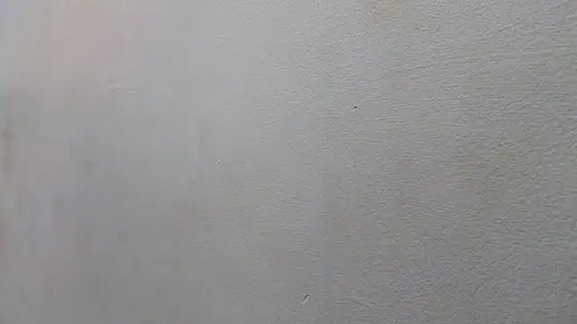 JESSYCORTES online show from January 2025 08:48:01 PM