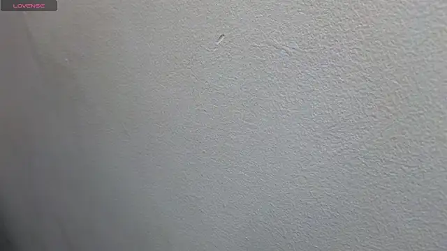 JESSYCORTES online show from February 2025 02:04:02 PM