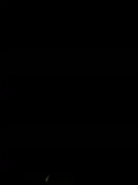 BetinaSoares online show from May 2026 03:36:01 AM