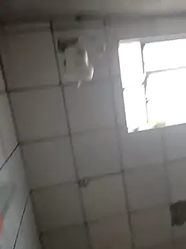 DitchingThrottle online show from March 2026 12:31:01 PM